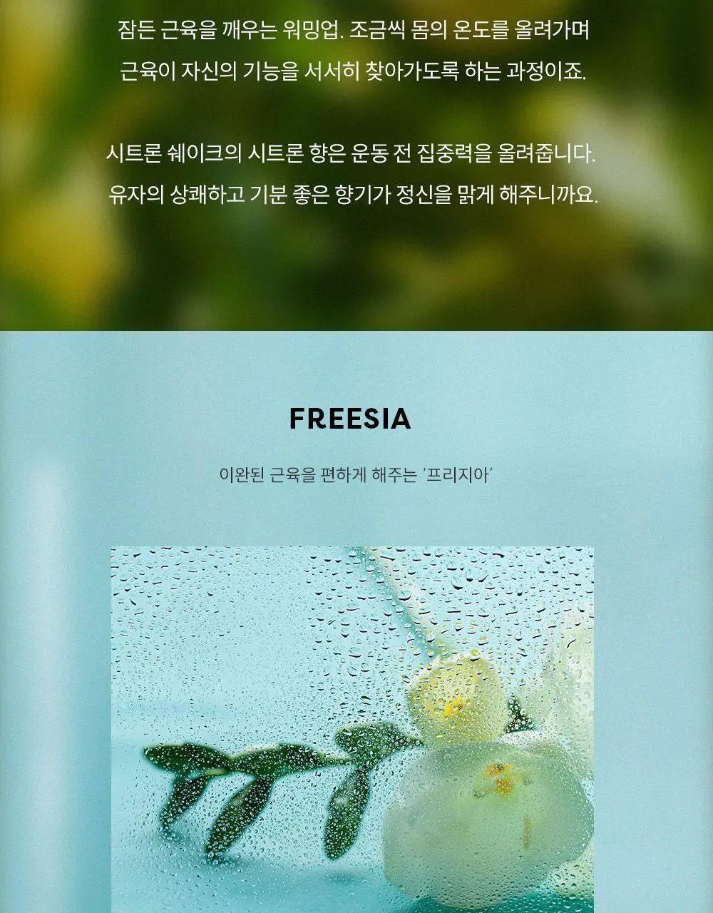 [시트러스향/인기] 꾸까 슈가 캔들 200g 시트론 유자향 상세페이지 30